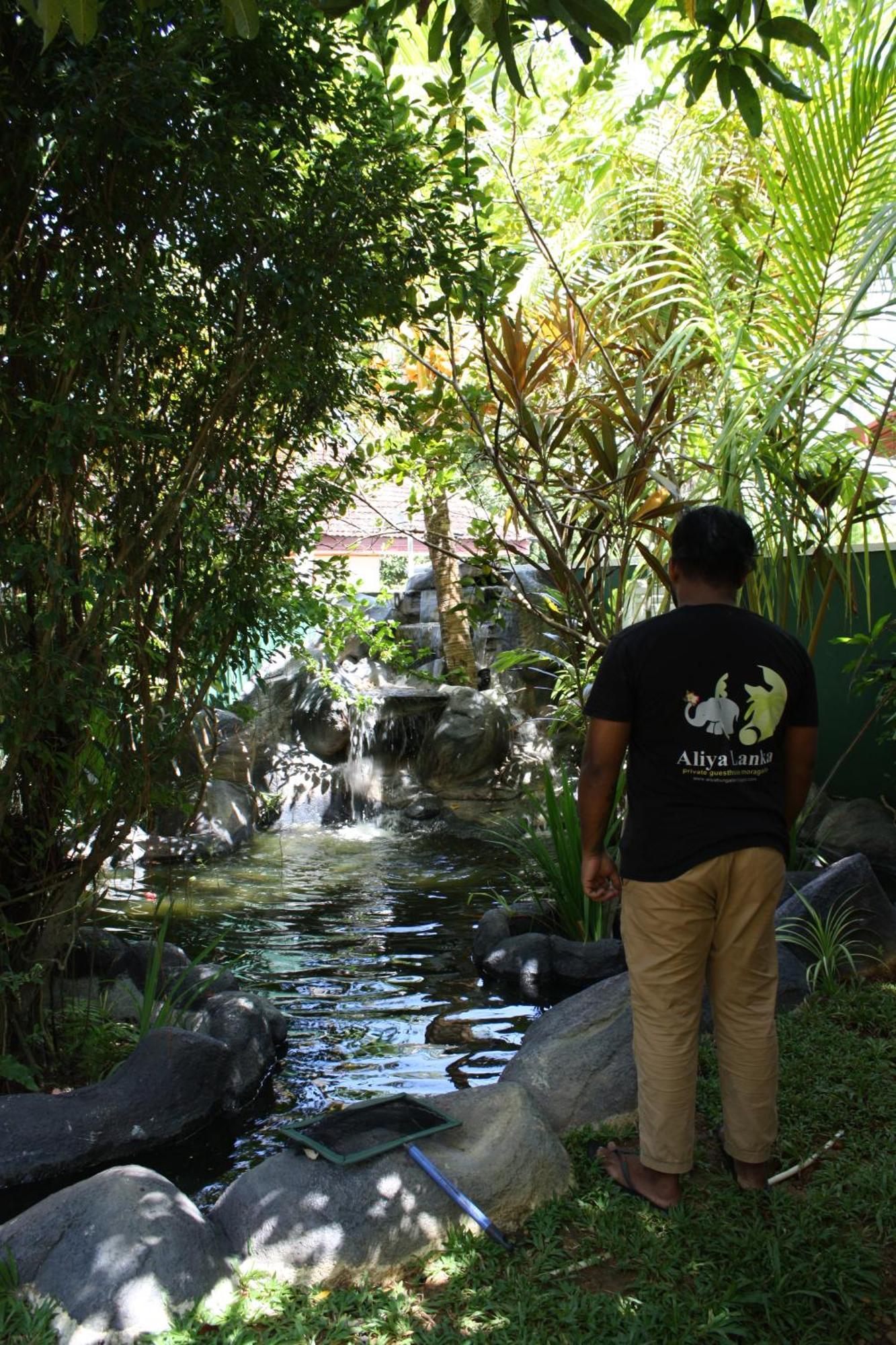 Aliya Lanka Hotel Beruwala Kültér fotó