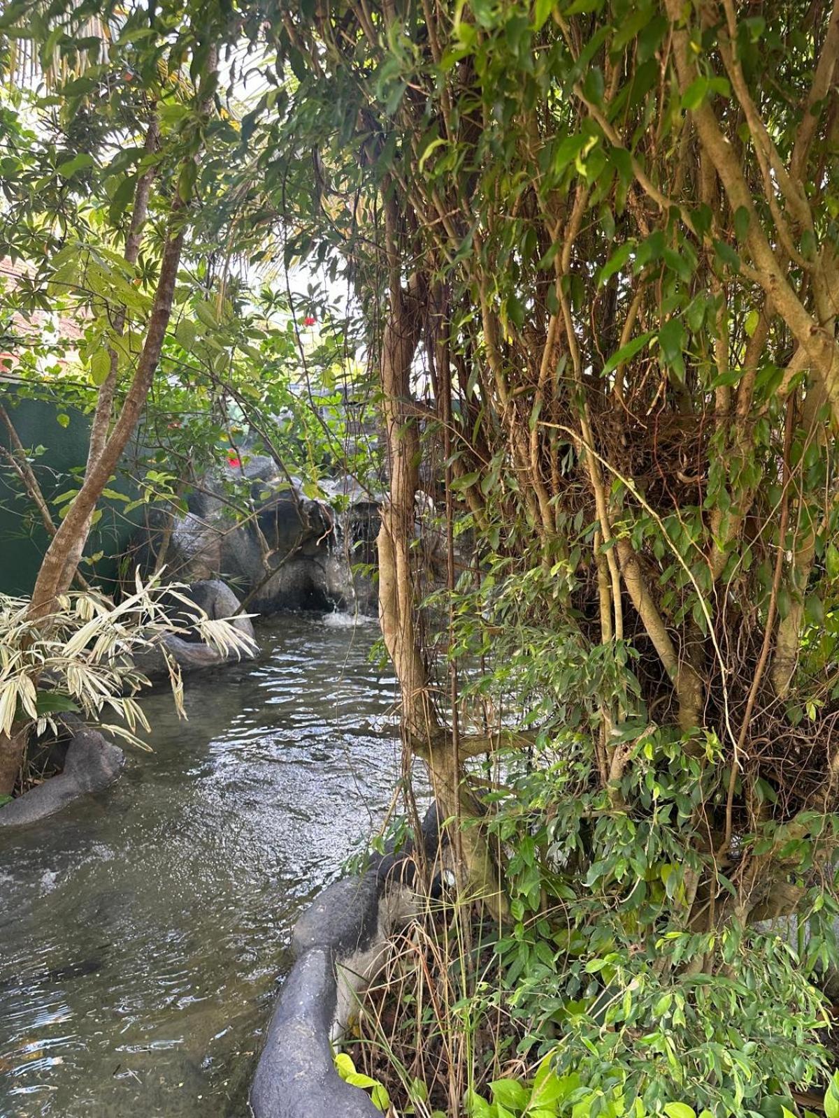 Aliya Lanka Hotel Beruwala Kültér fotó