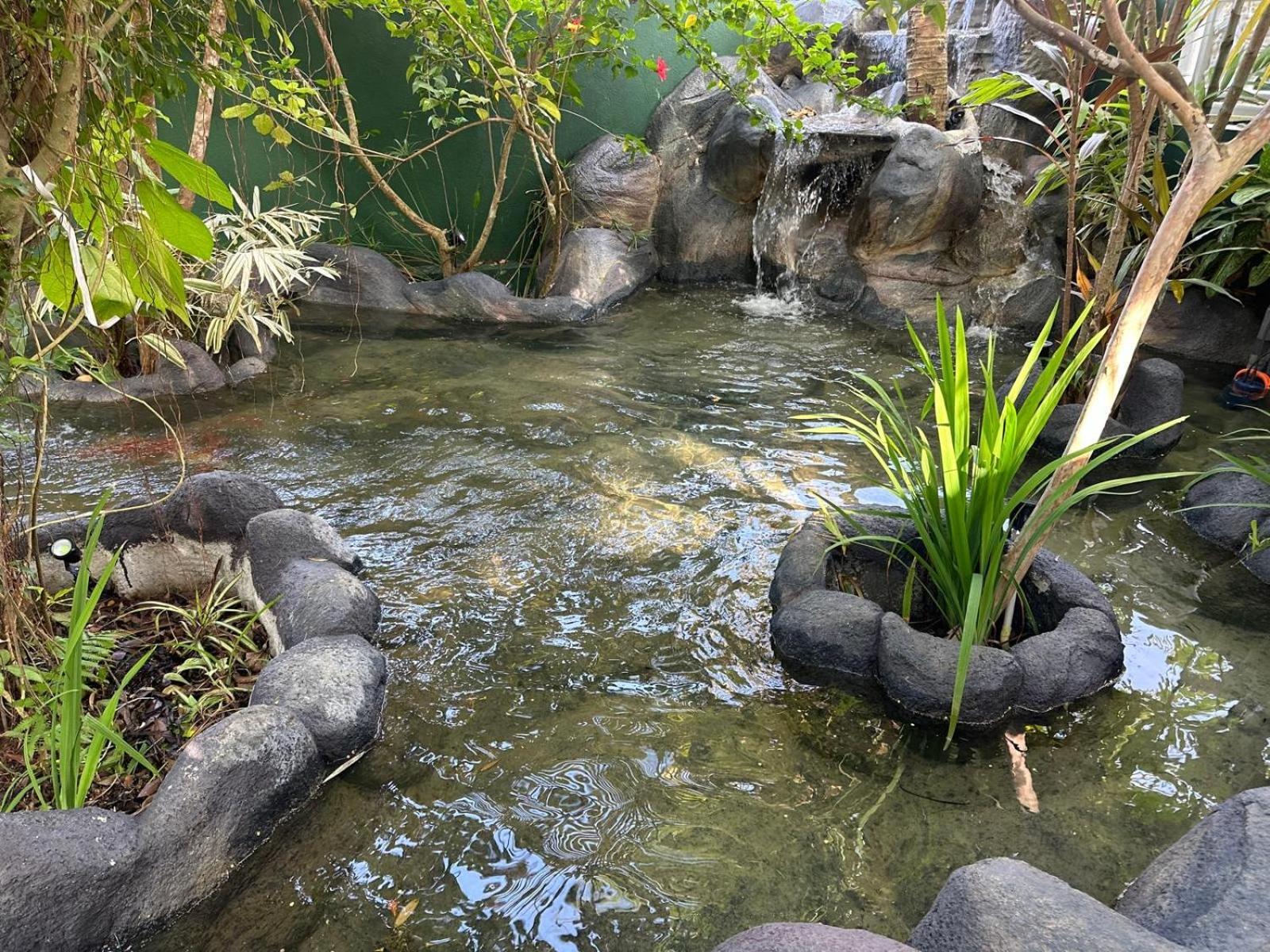 Aliya Lanka Hotel Beruwala Kültér fotó