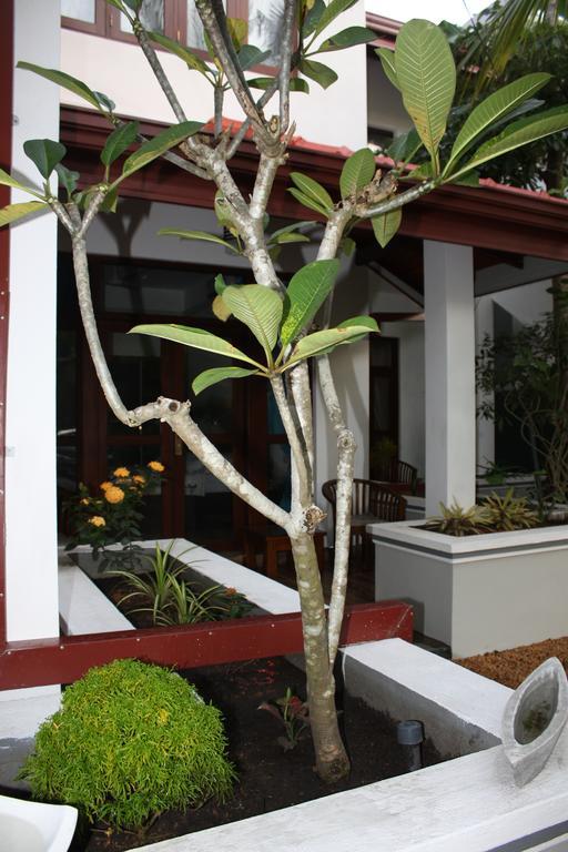 Aliya Lanka Hotel Beruwala Kültér fotó
